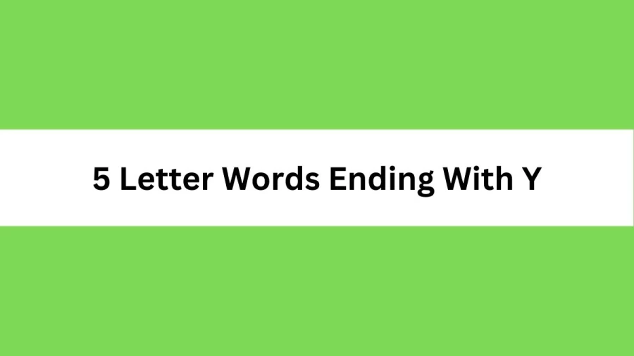 5 Letter Words Ending With Y, List Of 5 Letter Words Ending With Y