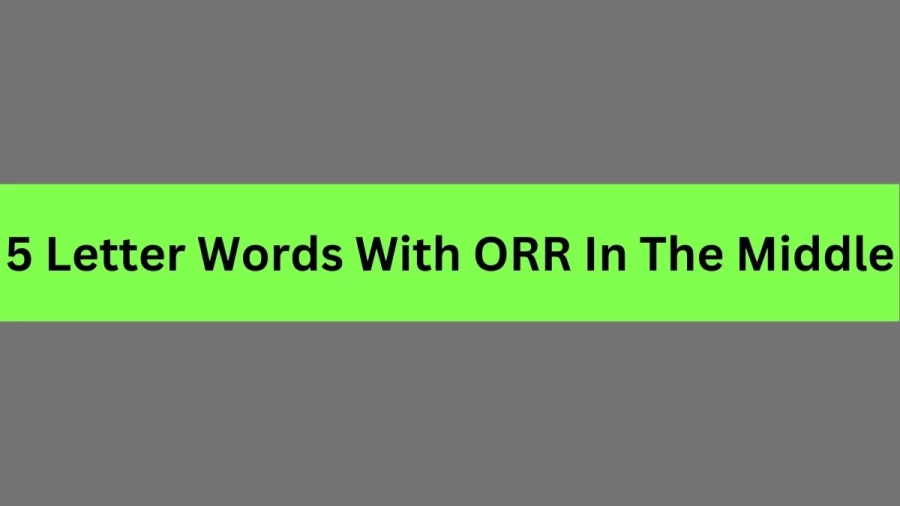 5 Letter Words With ORR In The Middle, List Of 5 Letter Words With ORR In The Middle