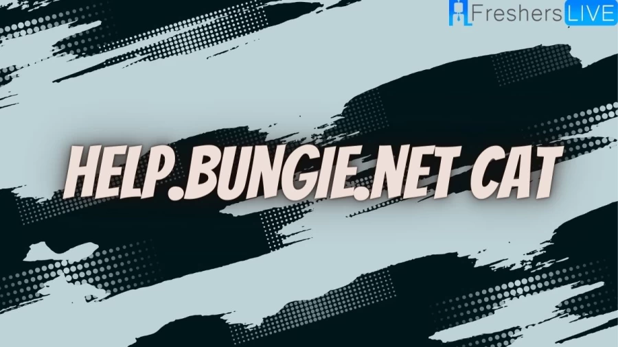 Help.Bungie.Net Cat, Destiny 2 Error Code Cat No Update, How To Fix Error Code Cat?