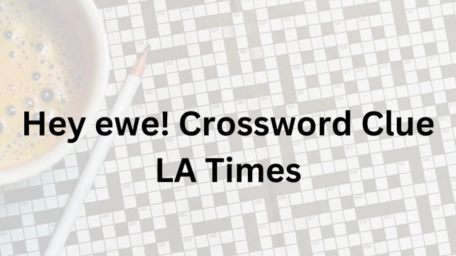 Hey ewe! Crossword Clue LA Times