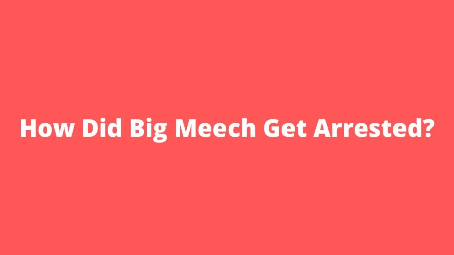 How Did Big Meech Get Arrested? When Did Big Meech Get Arrested? Where Is Big Meech Brother Now? When Is Big Meech New Release Date? Is Big Meech Brother Terry Still Alive?