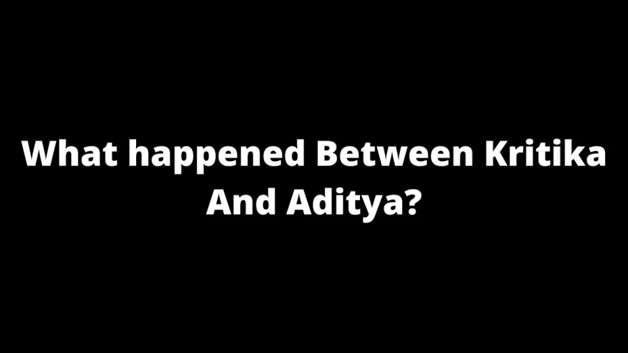 What happened Between Kritika And Aditya? Why Kritika and Aditya Broke Up? Kritika And Aditya Divorce Reason?