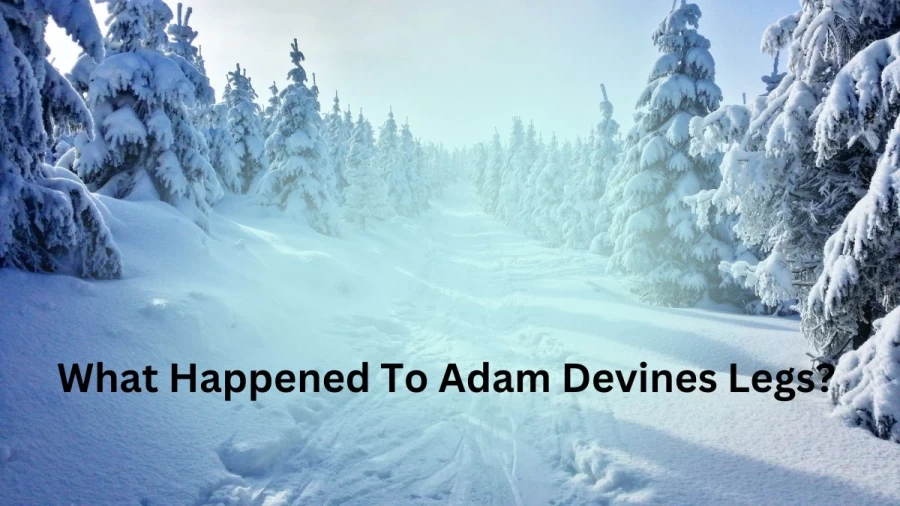 What Happened To Adam Devines Legs? Know More About Adam Devines Leg Injury