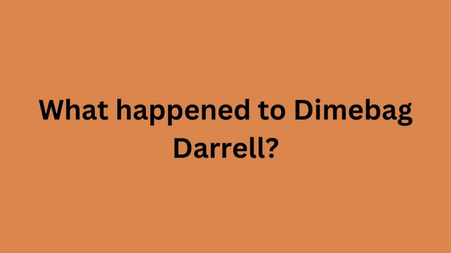 What Happened To Dimebag Darrell? How Did Dimebag Darrell Die? Who Killed Dimebag Darrell?