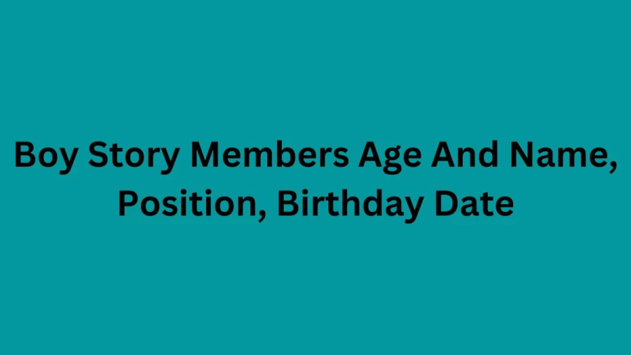 Boy Story Members Age And Name, Position, Birthday Date