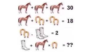 Brain Teaser: Can You Solve This Animal Math Equation?