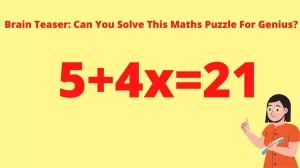 Brain Teaser: Can You Solve This Maths Puzzle For Genius?