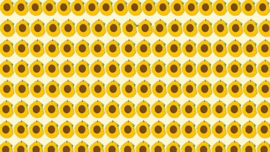 Brain Teaser Picture Puzzle: A Bee Is Hiding Amongst These Honey Combs Can You Spot The Bee?