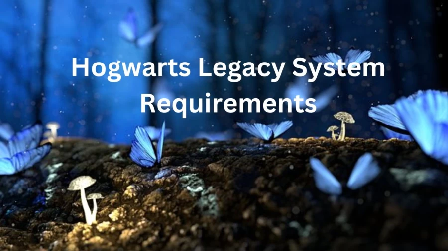 Hogwarts Legacy System Requirements, Hogwarts Legacy Review, PC Requirements, And More