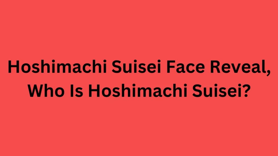 Hoshimachi Suisei Face Reveal, Who Is Hoshimachi Suisei?