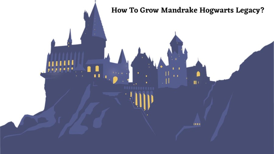 How To Grow Mandrake Hogwarts Legacy? Where To Get Mandrake In Hogwarts Legacy?