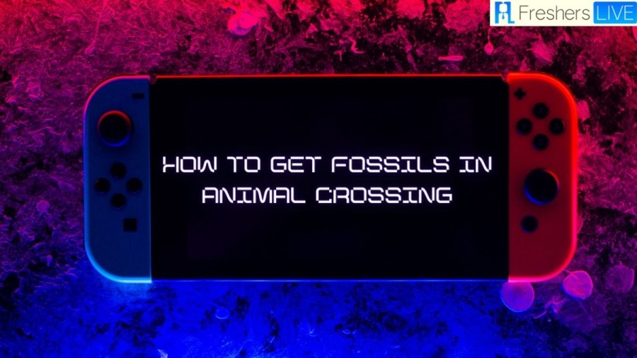 How To Get Fossils In Animal Crossing, How To Find Fossils In Animal Crossing?