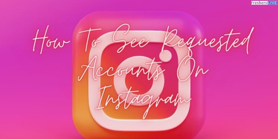 How To See Requested Accounts On Instagram? Steps To Find Requested Accounts On Instagram