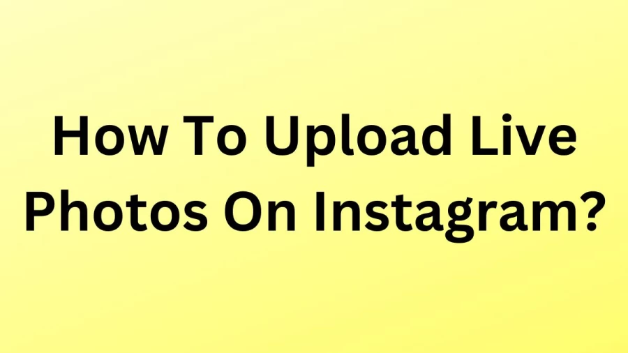 How To Upload Live Photos On Instagram? How To Post A Live Photos On Instagram?