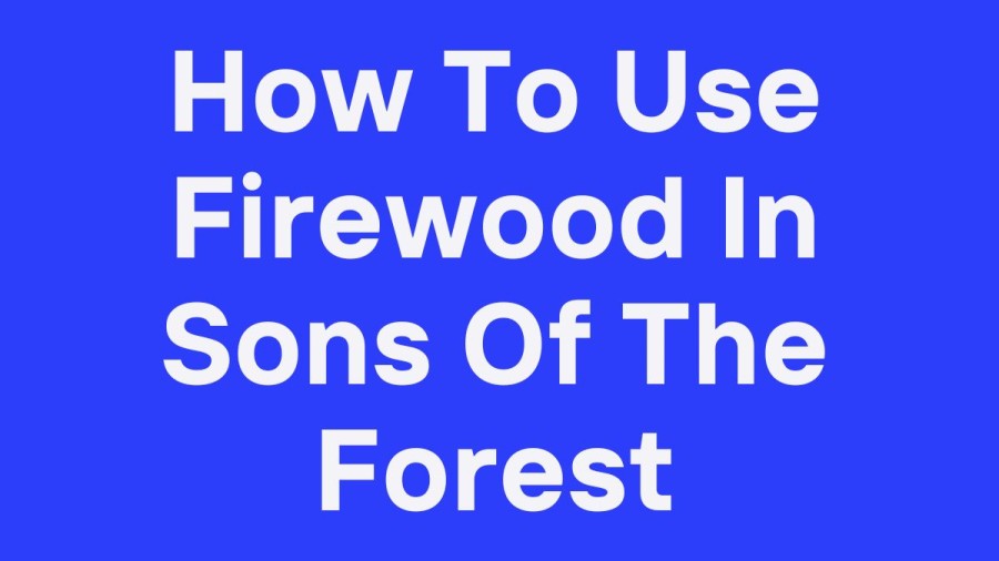 How To Use Firewood In Sons Of The Forest? Where To Find Firewood In Sons Of The Forest?