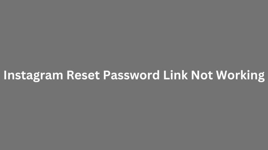 Instagram Reset Password Link Not Working, How To Fix Instagram Password Reset Not Working?