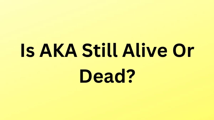 Is AKA Still Alive Or Dead? Know More Details About South African Rapper AKA