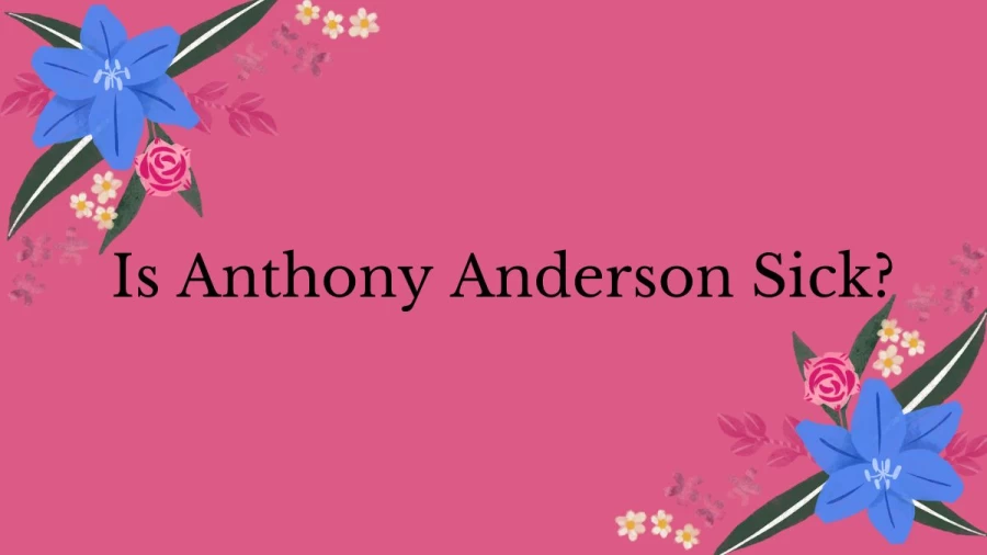 Is Anthony Anderson Sick? What Happened To Anthony Anderson? What Disease Does Anthony Anderson Have? How Did Anthony Anderson Lose That Weight?