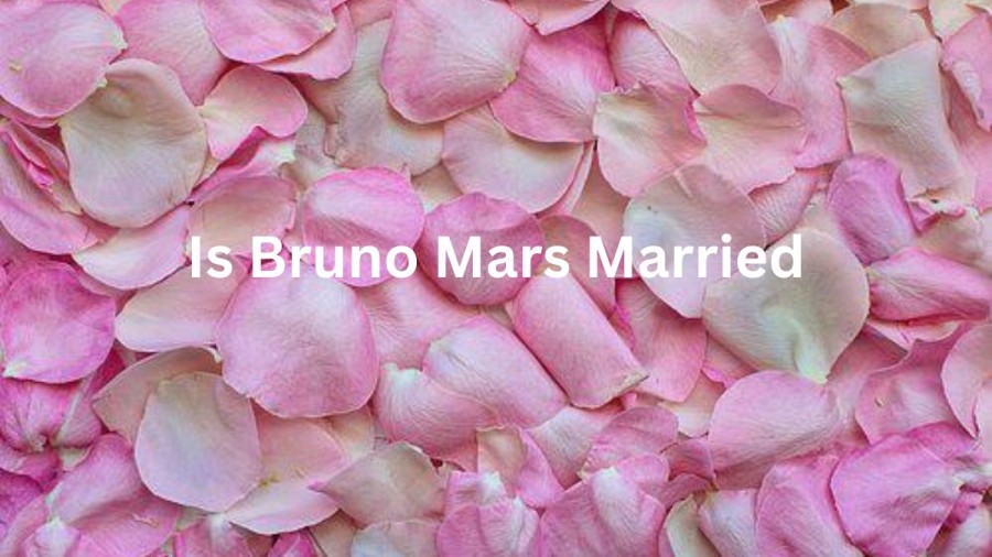 Is Bruno Mars Married? Does Bruno Mars Have Kids?