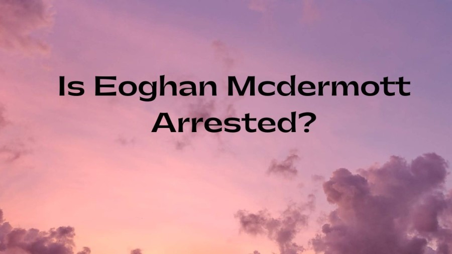 Is Eoghan Mcdermott Arrested? What Age Is Eoghan Mcdermott?