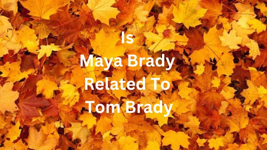 Is Maya Brady Related To Tom Brady? How Is Maya Brady Related To Tom Brady?