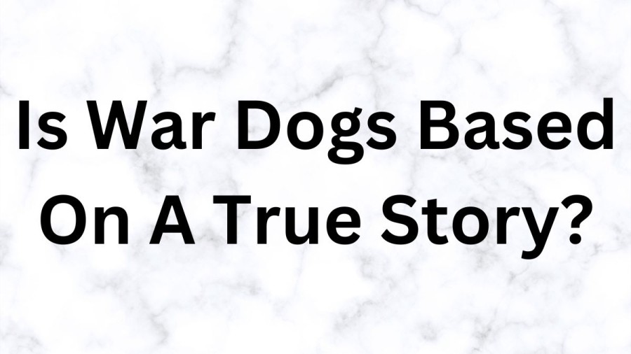 Is War Dogs Based On A True Story? War Dogs Ending Explained 