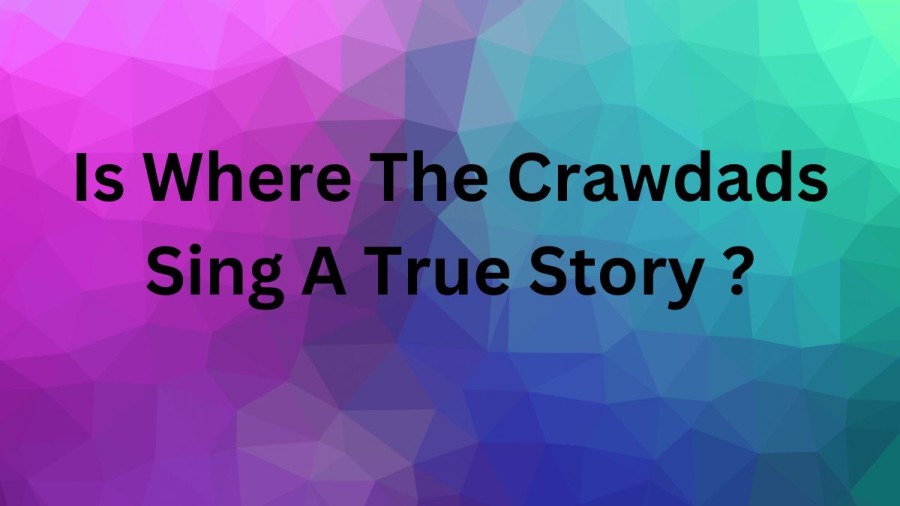 Is Where The Crawdads Sing A True Story? Where The Crawdads Sing Ending Explained 