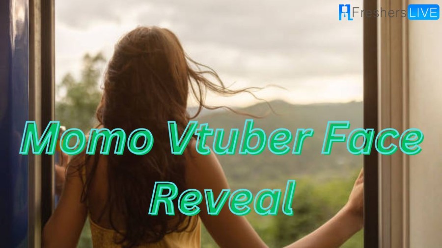 Momo Vtuber Face Reveal, Twitch, Real Name, Vtuber Twitter, And More