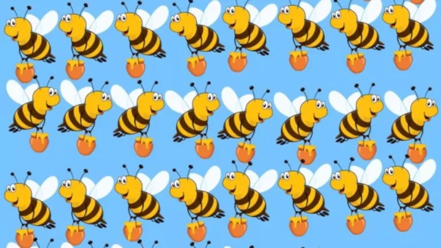 One Of The Bee In This Optical Illusion Is Different From The Rest. Can You Identify It?