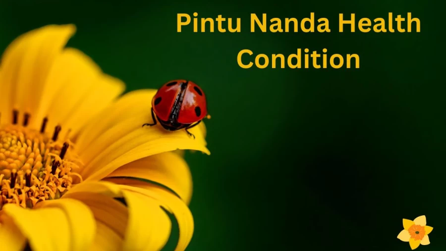 Pintu Nanda Health Condition, Who Is Pintu Nanda?