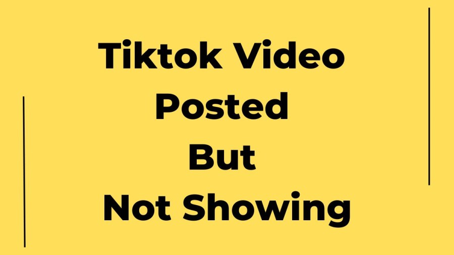 Tiktok Video Posted But Not Showing Why Is Tiktok Video Not Showing? How To Fix TikTok Video Posted But Not Showing?