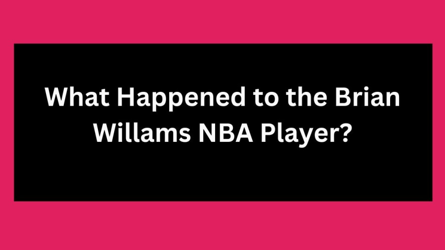 What Happened to the Brian Willams NBA Player?