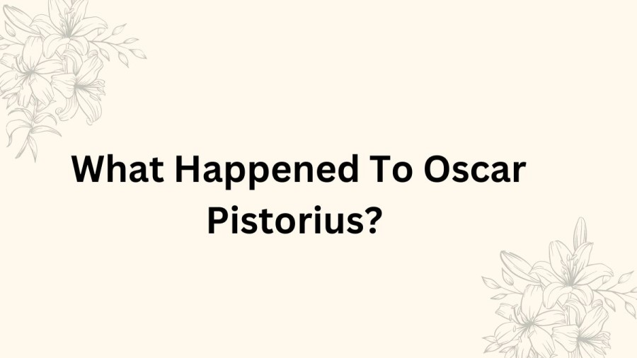 What Happened To Oscar Pistorius? Where Is Oscar Pistorius Today? When Is Oscar Pistoriuss Release Date? Why Did Oscar Pistorius Kill Our Daughter?