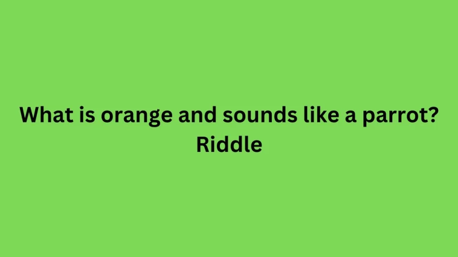 What is orange and sounds like a parrot? Riddle - Check out the What is orange and sounds like a parrot? Riddle Answer and Explained