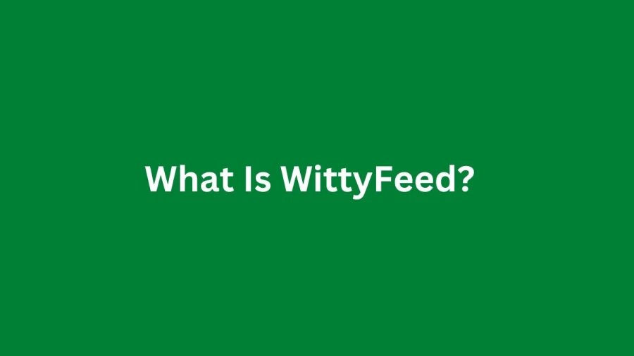 What Is WittyFeed? What Happened To WittyFeed?