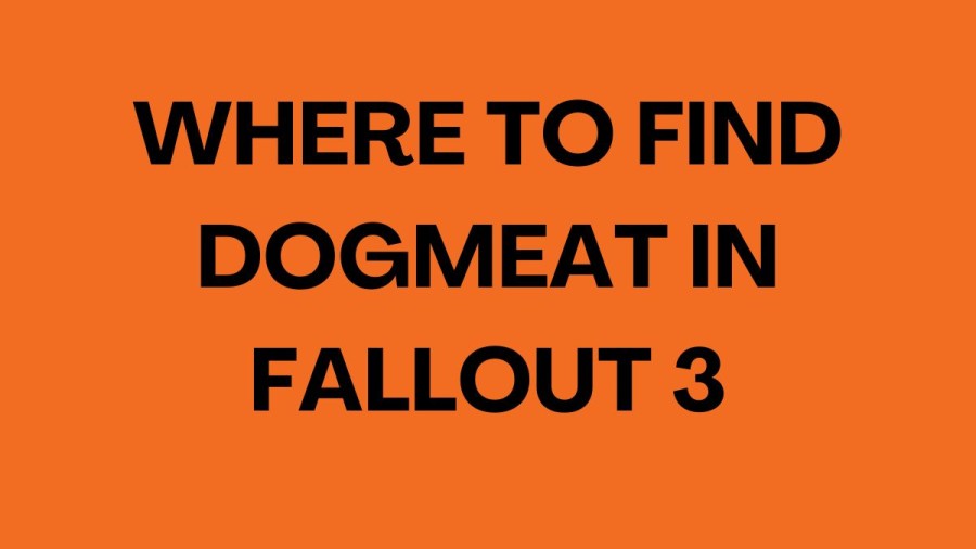 Where To Find Dogmeat In Fallout 3? How To Get Dogmeat In Fallout 3? Fallout 3 Dogmeat Location