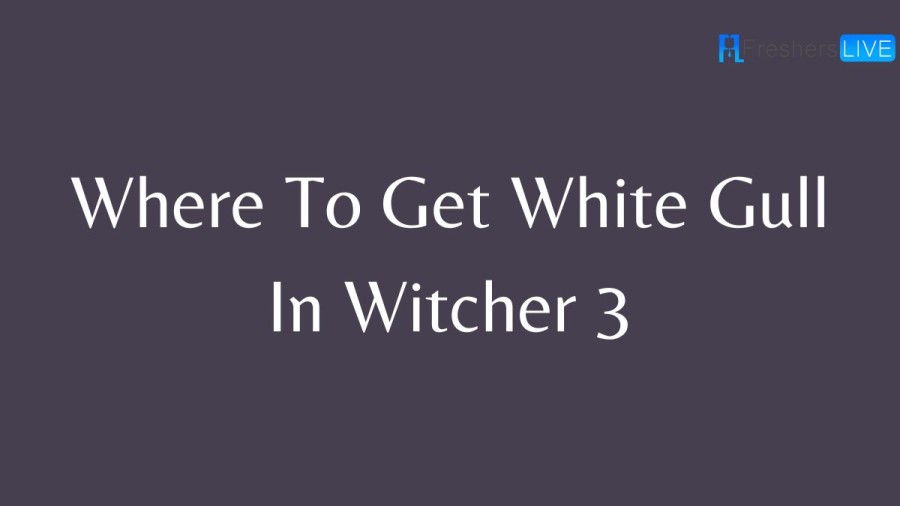 Where To Get White Gull In Witcher 3? White Gull Witcher 3 Location?