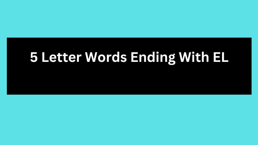 5 Letter Words Ending With EL, List Of 5 Letter Words Ending With EL