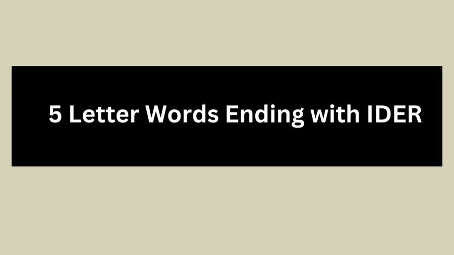 5 Letter Words Ending with IDER - Wordle Hint