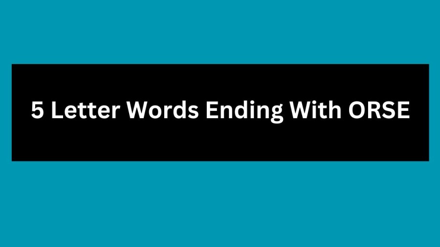 5 Letter Words Ending With ORSE, List Of 5 Letter Words Ending With ORSE