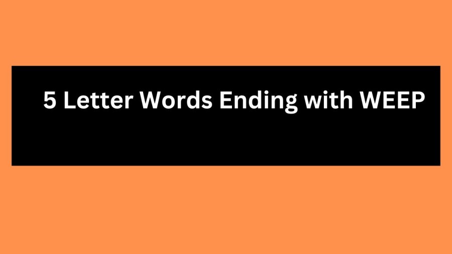 5 Letter Words Ending with WEEP - Wordle Hint