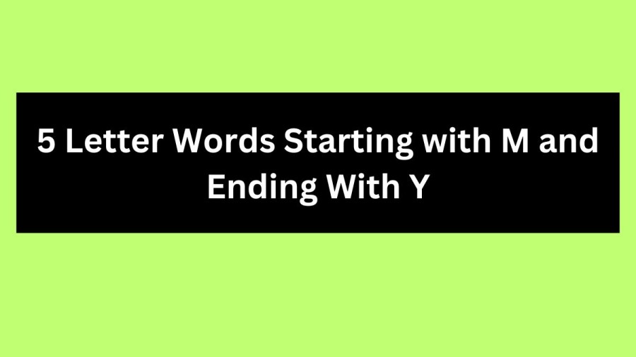 5 Letter Words Starting with M and Ending With Y - Wordle Hint