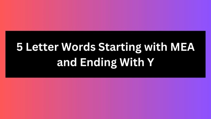 5 Letter Words Starting with MEA and Ending With Y - Wordle Hint