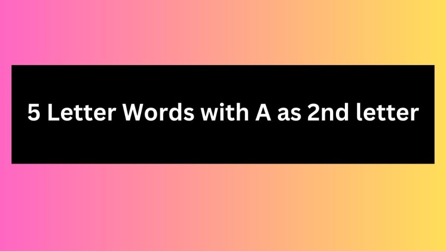 5 Letter Words With A as 2nd Letter - Wordle Hint