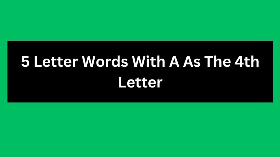 5 Letter Words With A As The 4th Letter, List Of 5 Letter Words With A As The 4th Letter