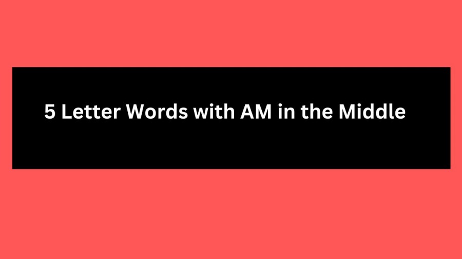 5 Letter Words with AM in the Middle, List Of 5 Letter Words with AM in the Middle