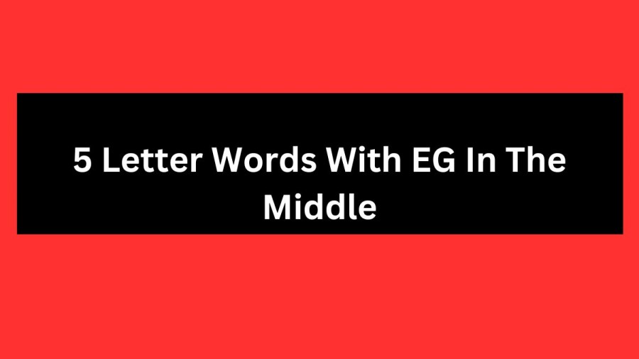 5 Letter Words With EG In The Middle, List Of 5 Letter Words With EG In The Middle