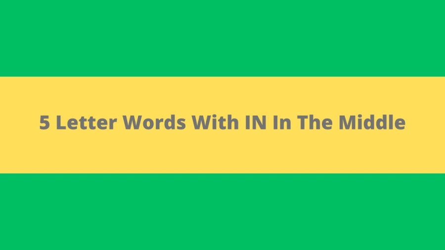 5 Letter Words With IN In The Middle, List Of 5 Letter Words With IN In The Middle