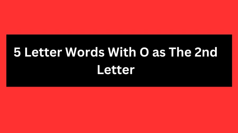 5 Letter Words With O as The 2nd Letter, List Of 5 Letter Words With O as The 2nd Letter