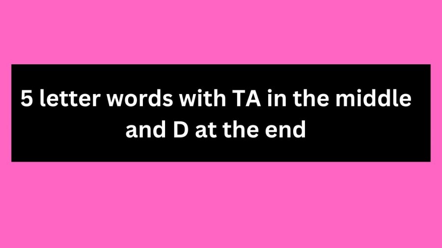 5 letter words with TA in the middle and D at the end - Wordle Hint